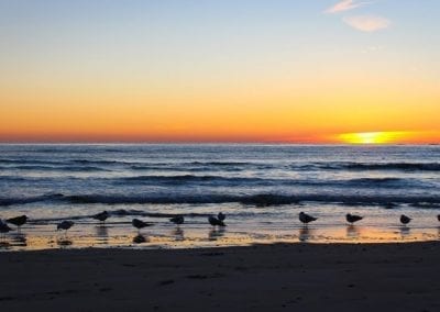 Sunrise