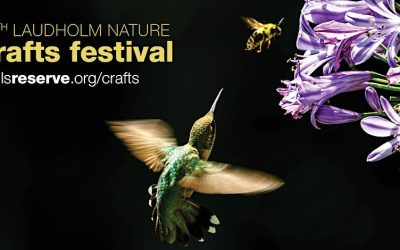 Exploring Creativity and Coastal Charm: The 2023 Laudholm Nature Crafts Festival